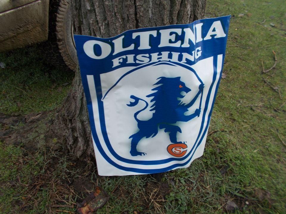 2013 - 4822673240067477019291786158642n.jpg